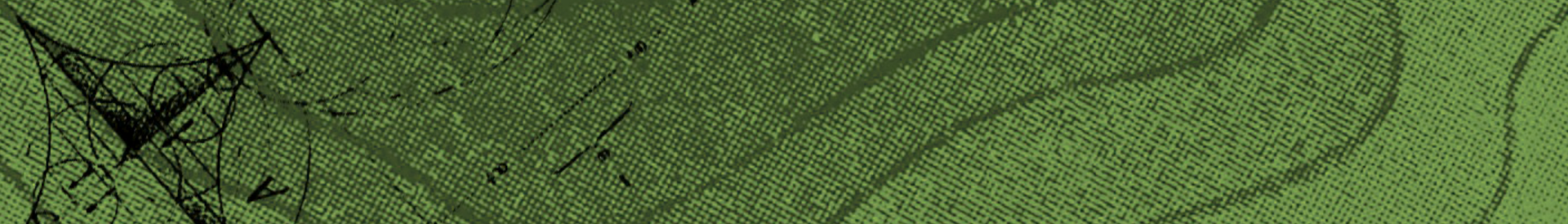 green sketch
